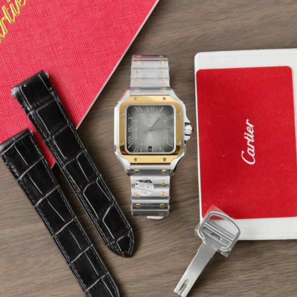 CT Santos 40mm – Edelstahl/Gold – Grau