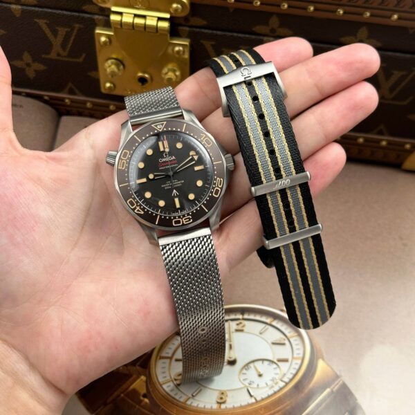 OM SM 42mm – Diver 300M Master Co-Axial